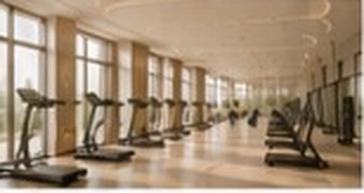 Modern gym equipment with natural light